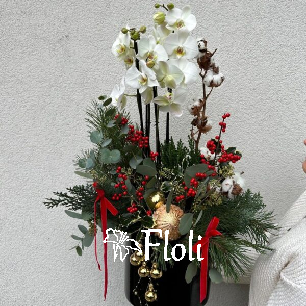 świąteczny flowerbox na boże narodzenie, prezent na święta