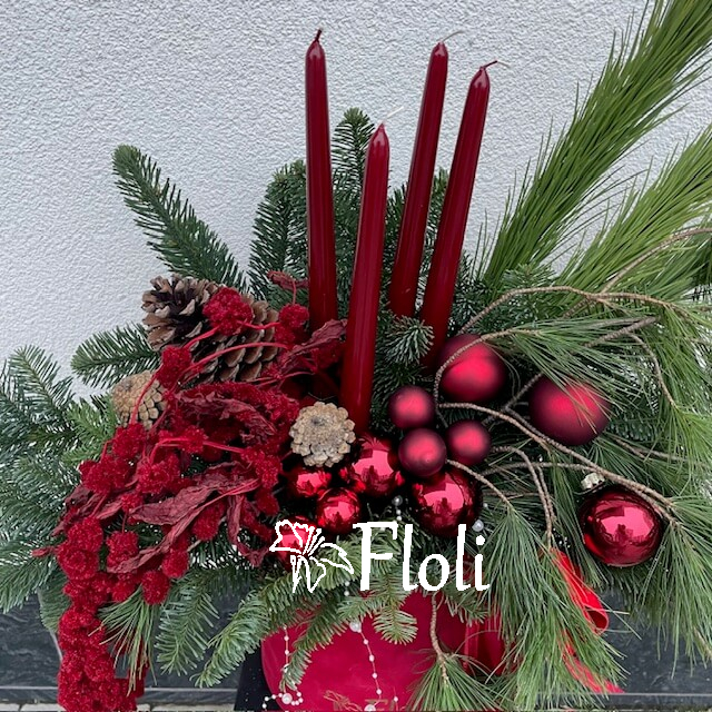 kwiaty na boże narodzenie